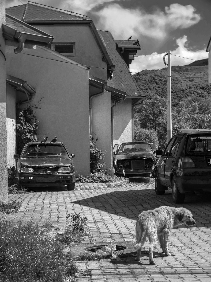 PhotoIvanM's tweet photo. Тhe landscape remembers what people tried to leave behind.
/
From a long-term documentary project on the fading traces of serbian identity in kosovo and metohija.

#blackandwhite #documentaryphotography #photojournalism #monochrome #bnwphotography #urbex #postindustrial 
#zvečan https://t.co/GNczqrFDqc