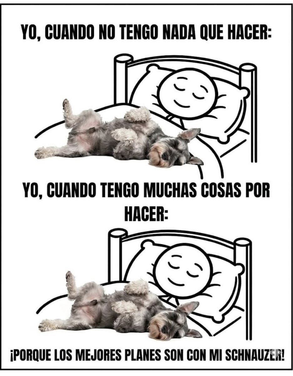 Massiel tweet media