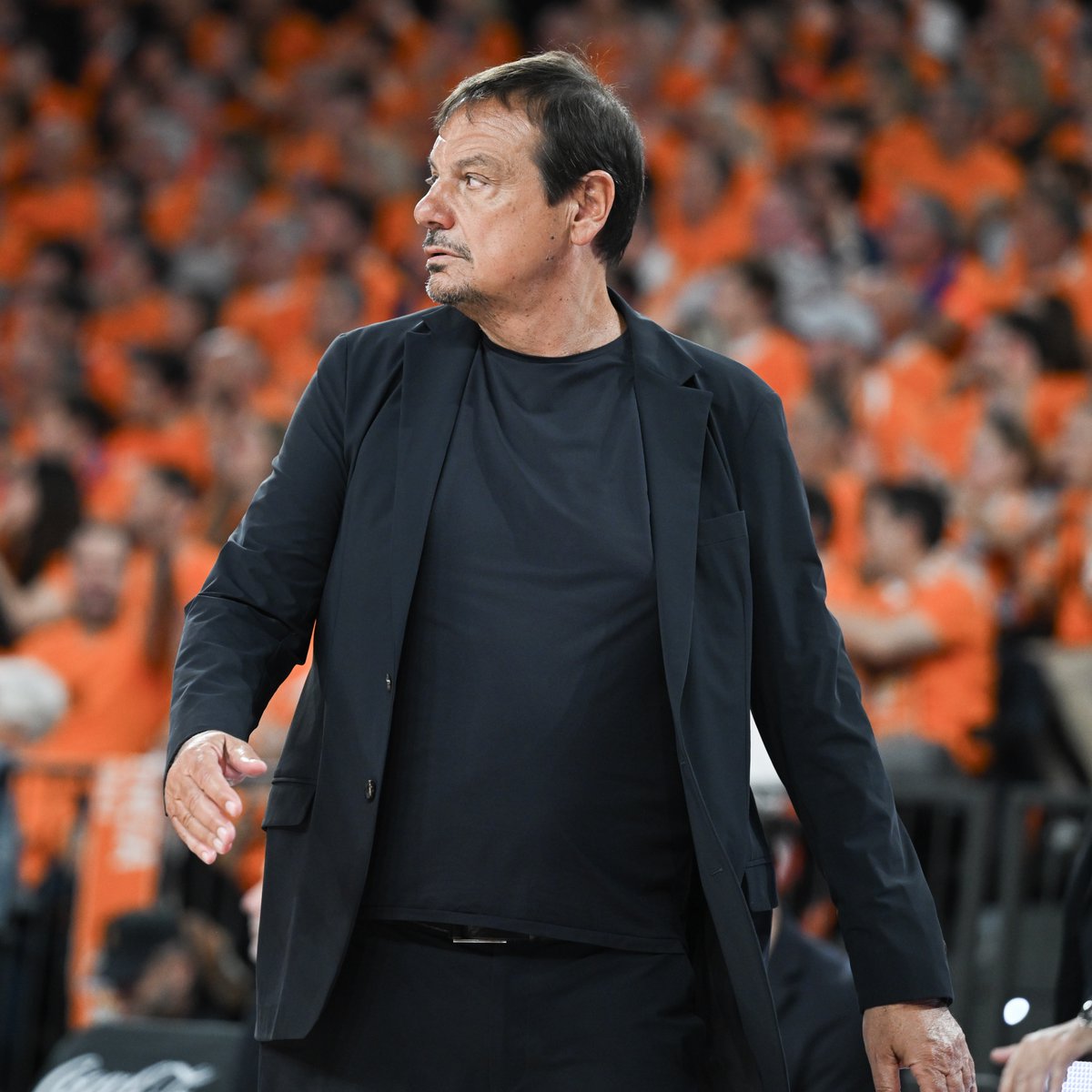 Eurohoops Türkiye tweet media