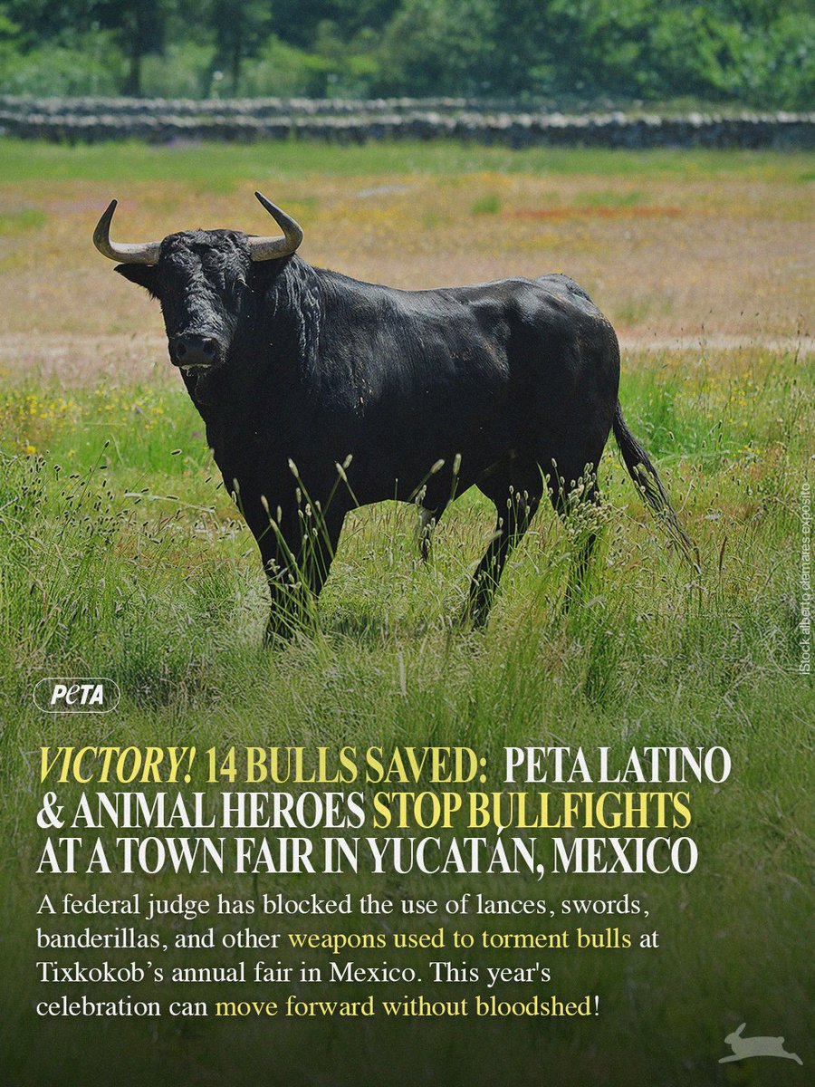 PETA tweet media