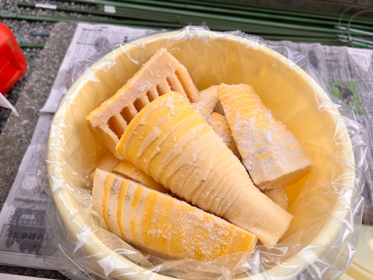 樅ごますけ(れなすけ) tweet media