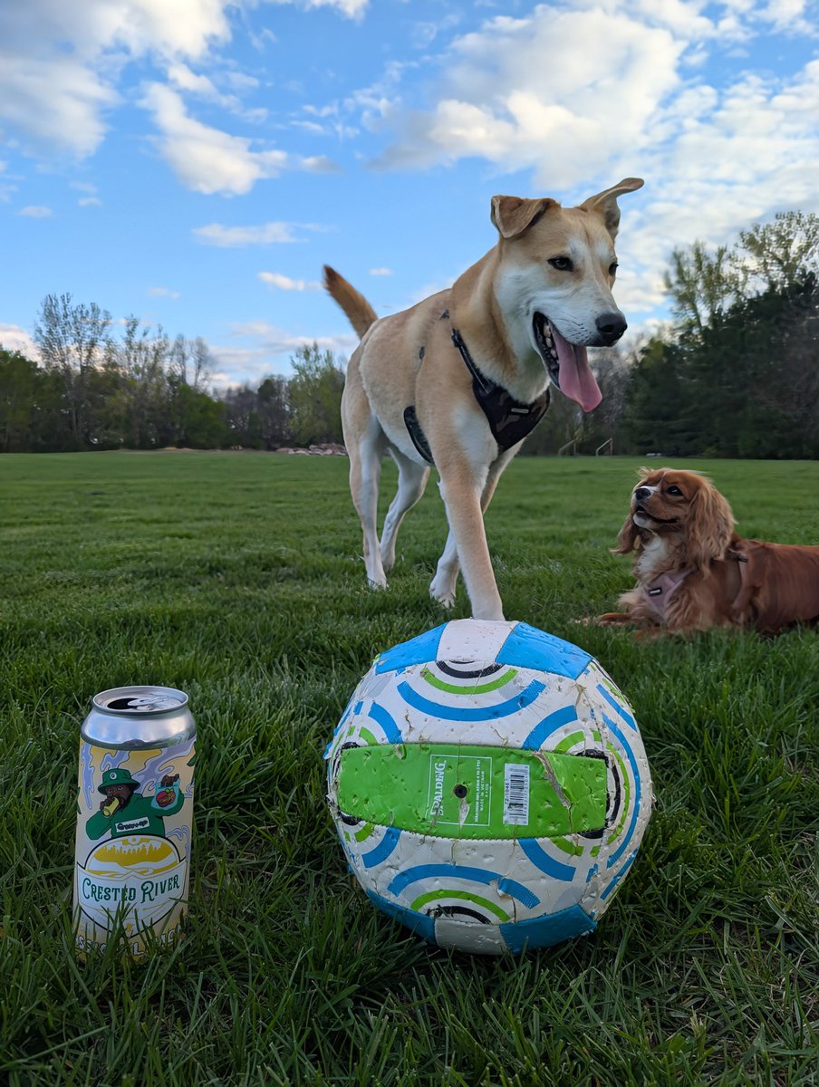 crivercc's tweet photo. Ballers. 🐾✌️

📷 Gro-op x Crested River's Passion Limone.  

Available in over 200 locations!

#dogs #cannabis https://t.co/cIqi6On2N3