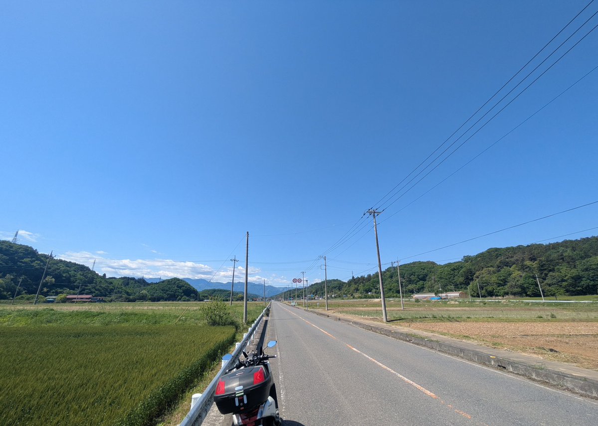 乗り物MT車、普及推進委員会 会長 tweet media