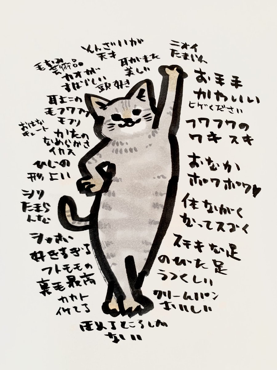 チンムギ tweet media