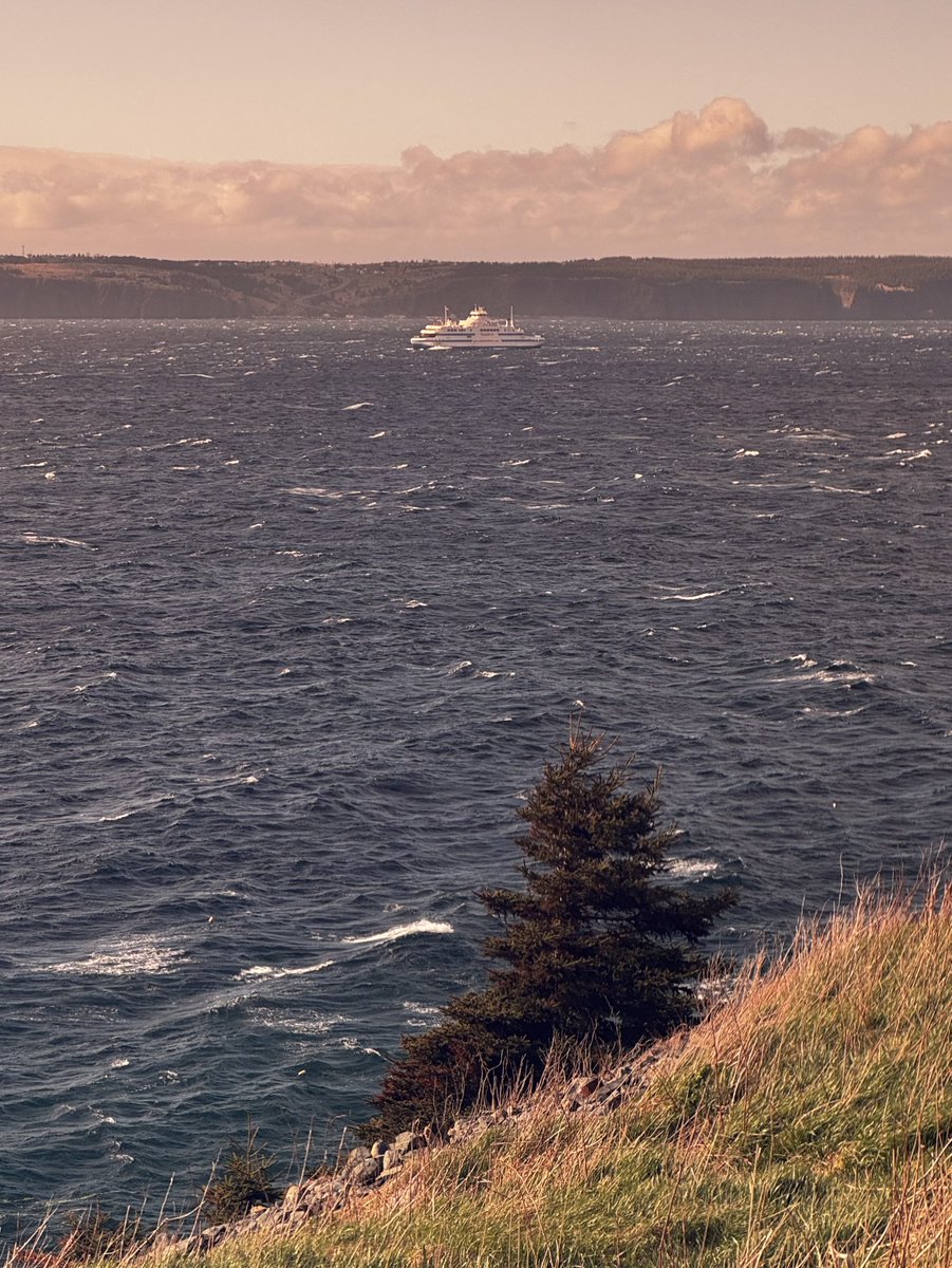 Dead Woods & Ancient Isles tweet media