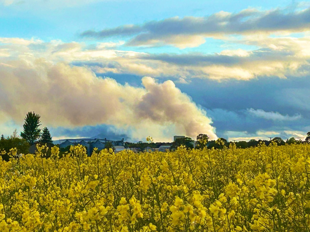 C_MAlexander's tweet photo. Contrasting colours in #Fife tonight as the #Ladybank recycling centre fire continues to burn more than 24 hours on. https://t.co/m3O6wYpyYm
