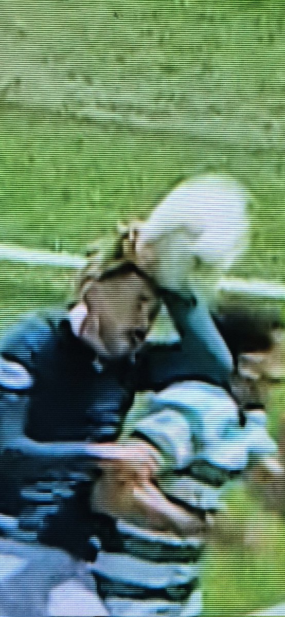 Nollaig74's tweet photo. @ScotlandSky Stonewall penalty https://t.co/bCm3yxUL6s