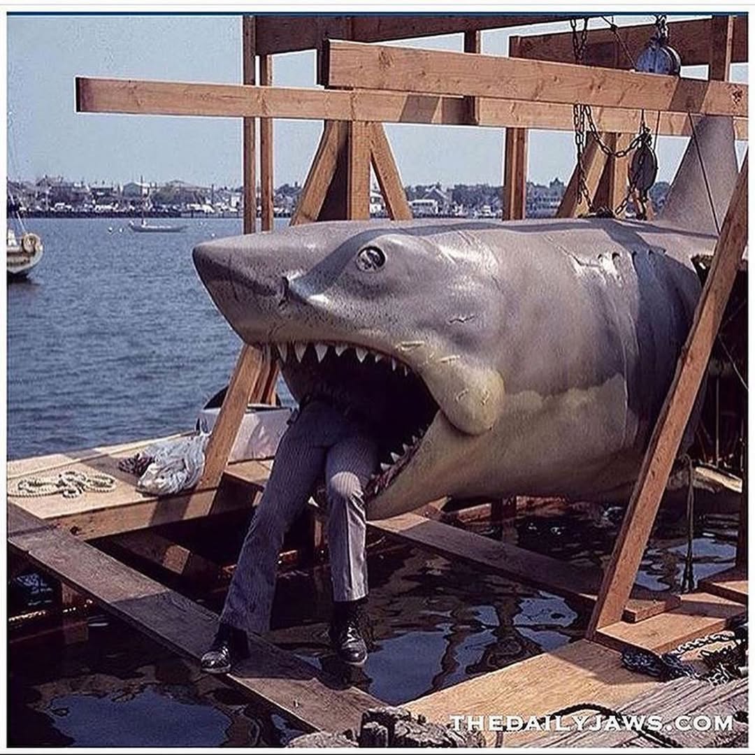 The Daily Jaws tweet media