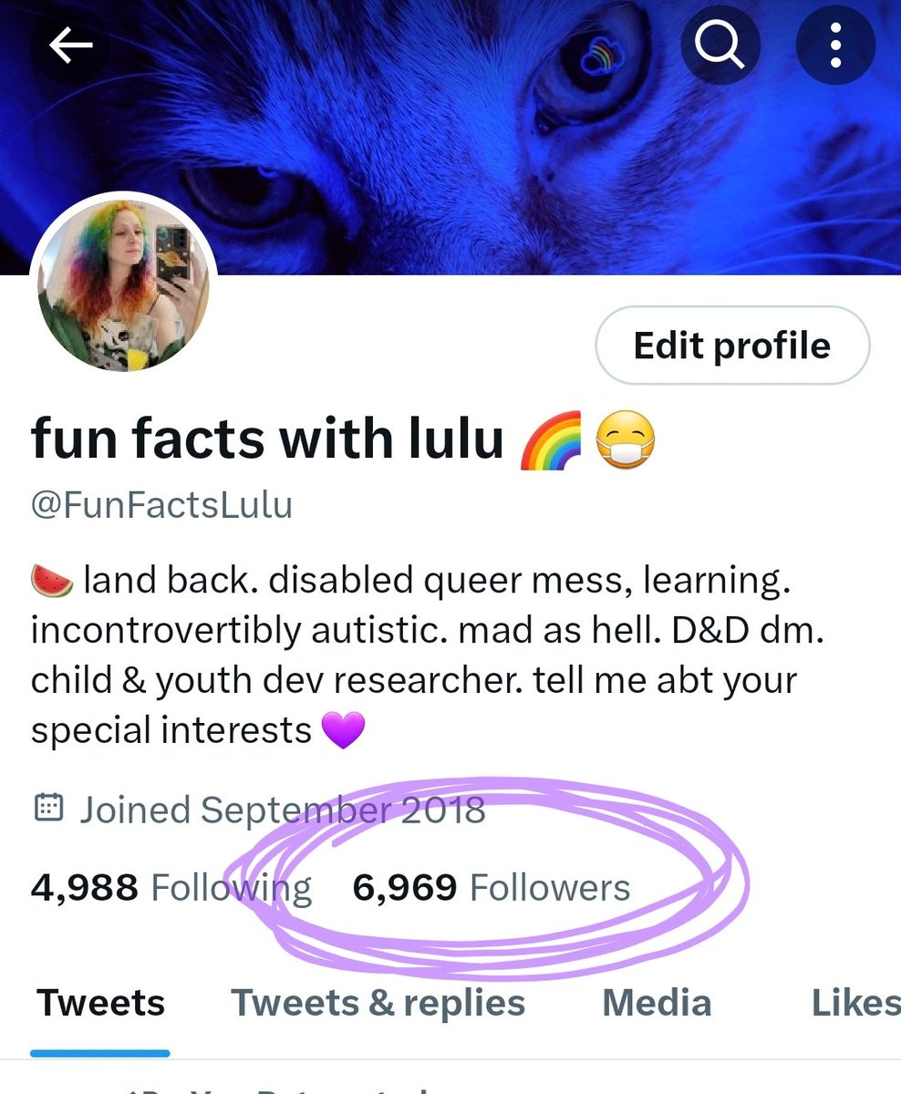 fun facts with lulu 🌈 😷 tweet media