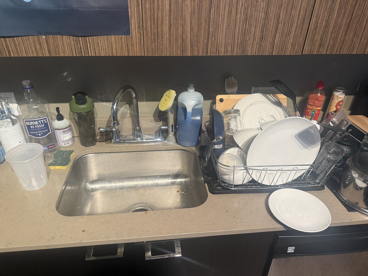 Not_Nathen_B's tweet photo. I live w/ such slobs. they filled the sink &amp; rubber like ??? sink pile so damn high I couldn’t even slice oranges. Idc id poor job putting it on the dish rack I just wanted it over(they don’t allow dishwasher use even though it works!!) https://t.co/vWpUwtGIoL