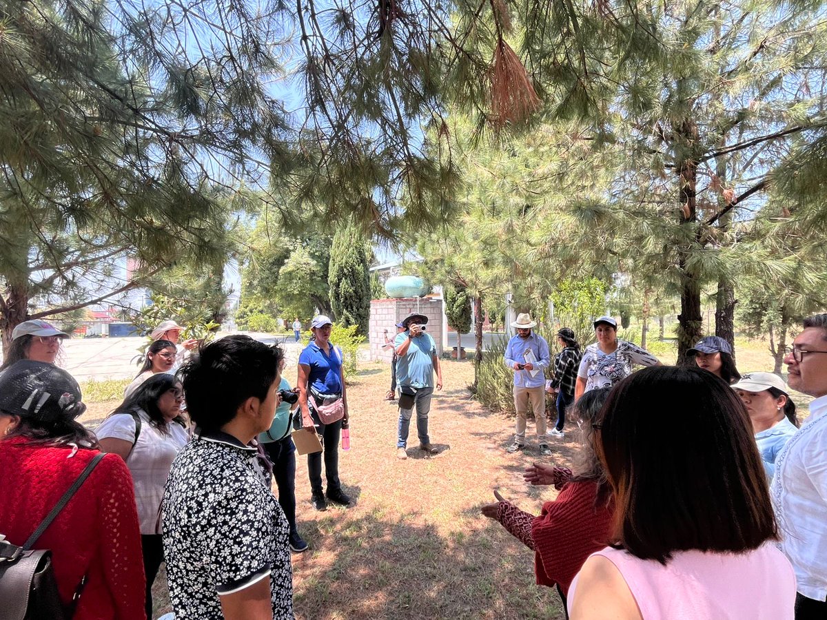 capsusmx's tweet photo. ¿Y si las ciudades pudieran medir el impacto climático antes de asignar financiamiento a un proyecto?

En CAPSUS estamos orgullosos de que nuestras herramientas de datos geoespaciales ya estén influyendo en decisiones reales. Decisiones que dirigen los recursos a donde más se necesitan.

En colaboración con Centro EURE desarrollamos MICU, creada por encargo de la CAMe, una herramienta que simula qué intervención genera mayor impacto en zonas con mayor concentración de calor antes de invertir recursos, evaluando alternativas como implementación de techos fríos, instalación de pavimentos permeables o arborización.

En Tlaxcala, México, nuestros estudios permitieron identificar con precisión las zonas con mayor concentración de calor. No desde la percepción. Desde evidencia territorial.

No se trata de hacer más proyectos.
Se trata de financiar el correcto.

Se acompañaron a las autoridades municipales y estatales en el proceso de análisis y priorización, asegurando que la decisión fuera técnica, viable, con impacto social basándonos en datos.

La pregunta es clara:
¿Estamos tomando decisiones públicas con datos… o todavía con intuición?

Sigue a CAPSUS para conocer más sobre resiliencia climática, innovación urbana y soluciones de sostenibilidad basadas en datos.

#PlaneaciónUrbana #Sustentabilidad #TomaDeDecisiones #Islasdecalor #Cambioclimatico

——————————-
ENGLISH

What if cities could quantify climate outcomes before investing?

At CAPSUS, our geospatial tools are already guiding real public decisions, directing resources where they’re needed most.

Together with Centro EURE, we developed MICU: a platform that simulates interventions like cool roofs or urban tree strategies before implementation.

No guesswork. Just measurable projections.

In Tlaxcala, Mexico, this approach allowed us to pinpoint areas with the highest heat concentration using territorial data, - not perception.

Because it’s not about launching more projects.
It’s about funding the right one.

By combining technical analysis with strategic consultancy, municipal and state leaders can turn data into clear, socially driven action.

When technology and policy align, climate planning becomes urban well-being.

So the real question is:

Are public decisions driven by evidence… or still by intuition?

Follow CAPSUS for more insights on climate resilience, urban innovation, and data-driven sustainability solutions.

#UrbanPlanning #Sustainability #DecisionMaking #HeatIslands #ClimateChange