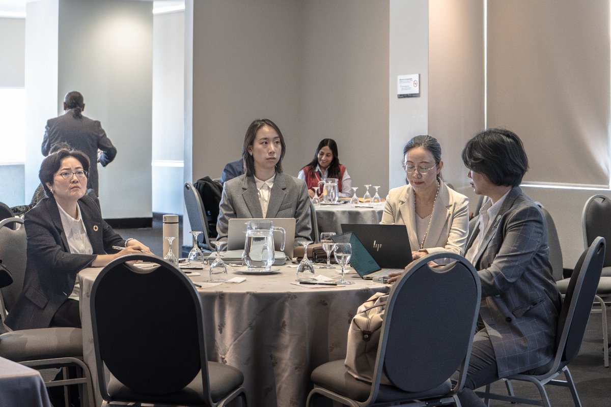 FAOPERU's tweet photo. 🧵 Perú fortalece la cooperación con China para reducir el uso de antimicrobianos en la producción animal. Encuentro impulsado por FAO y el Gobierno de China fue inaugurado por @MarianaFaoPeru, representante de @FAOPERU, junto a expertos internacionales bajo el enfoque #UnaSalud https://t.co/LF6VuFvWS2