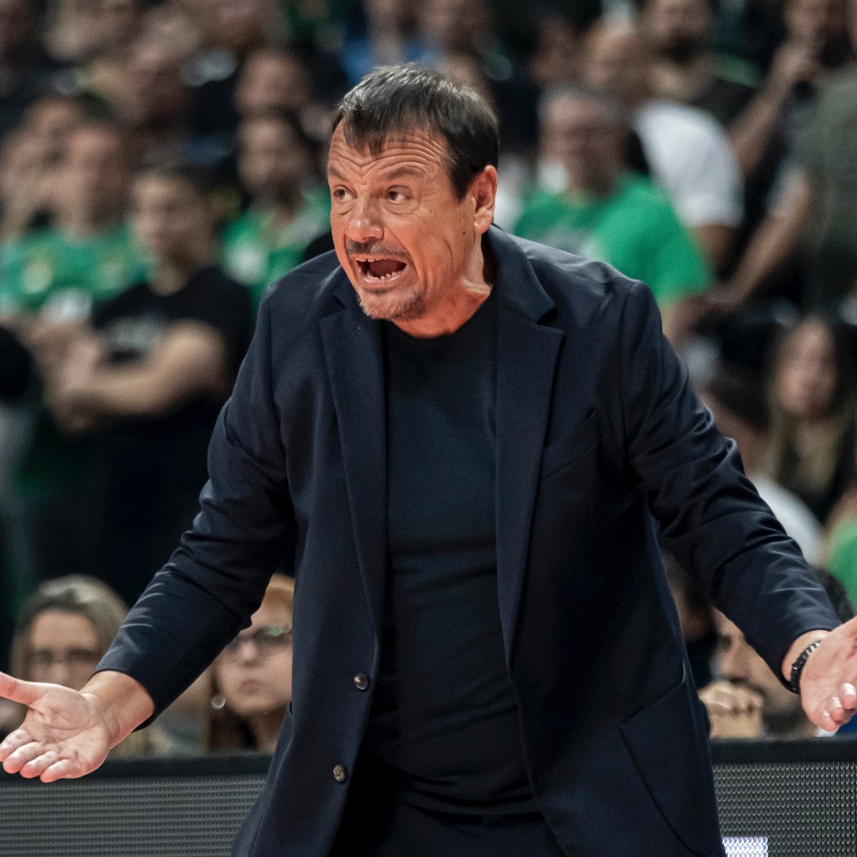 Eurohoops Türkiye tweet media