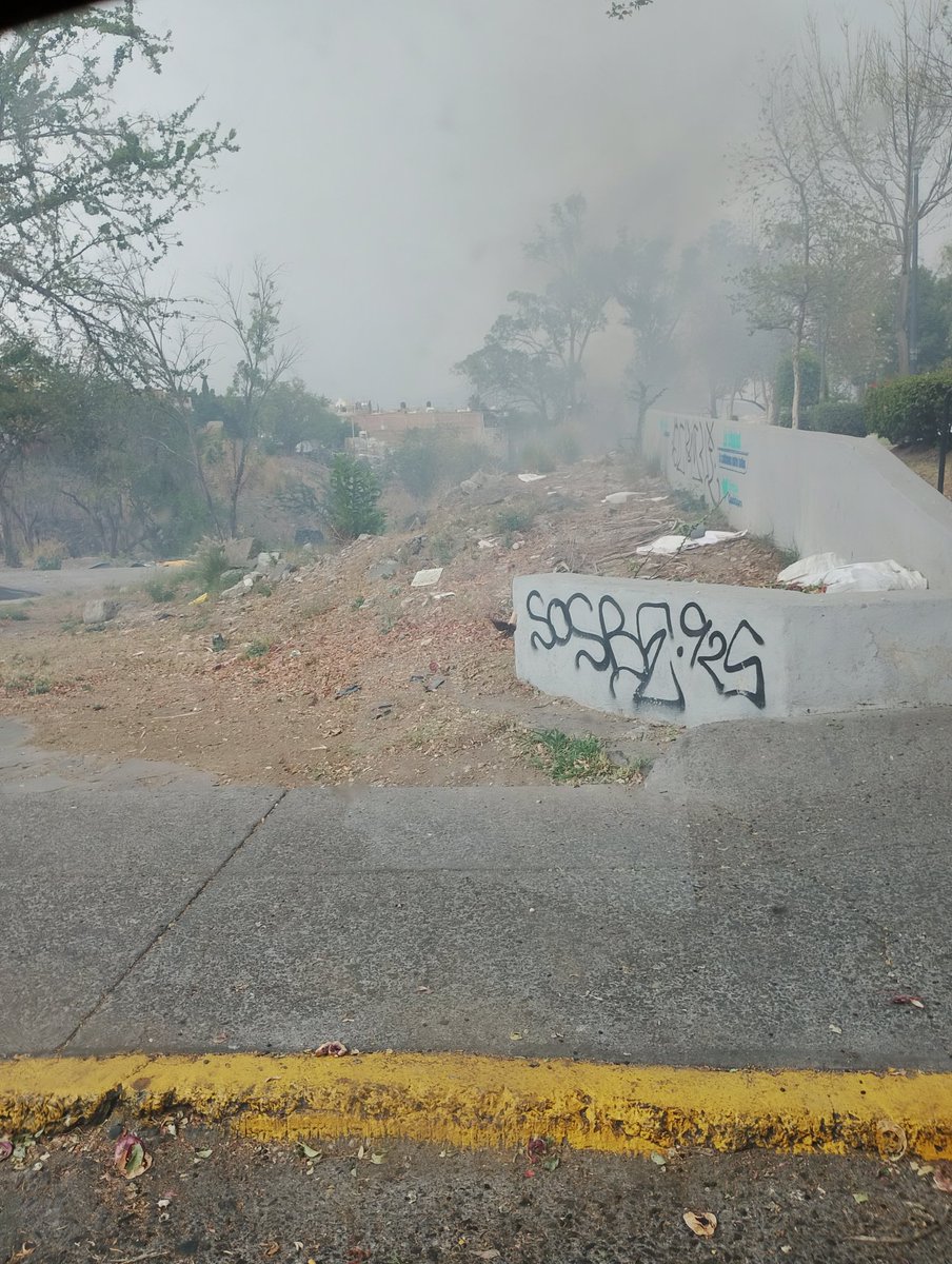 elosothepu's tweet photo. @Trafico_ZMG Otra vez prendieron fuego Al baldio de Jose Ma Iglesias y Plutarco https://t.co/SAG2TBglXb