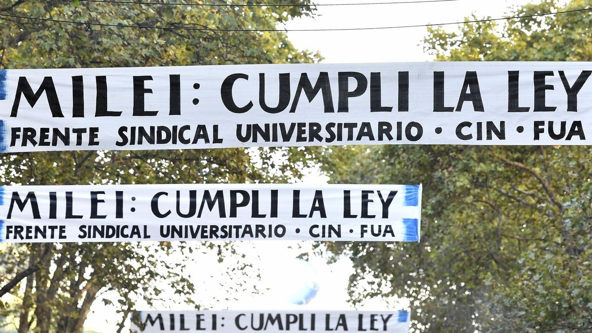 POP #LaPlata tweet media