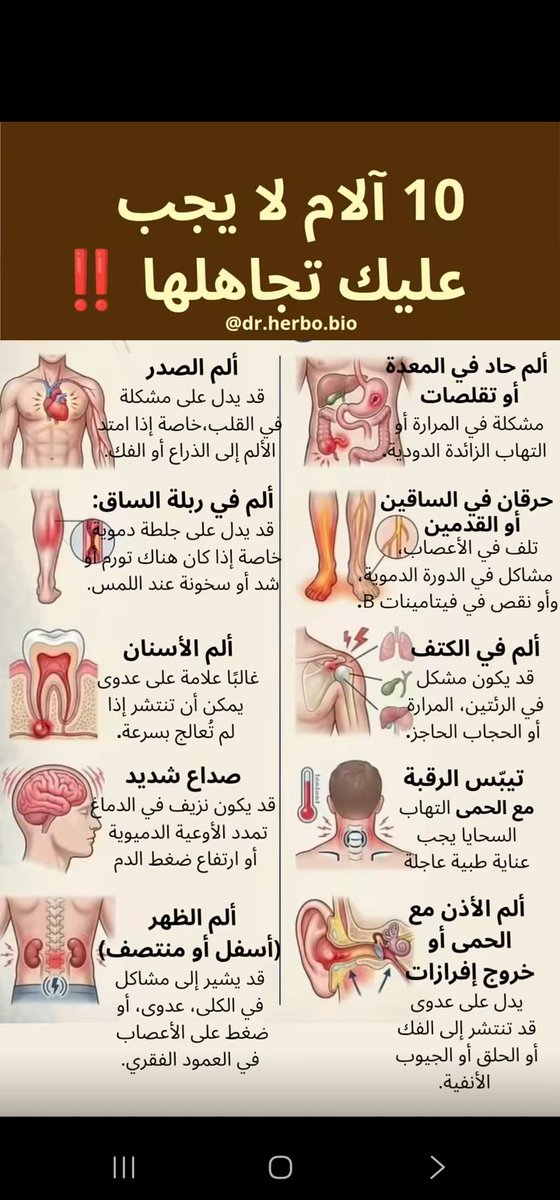 محراب الثقافة tweet media