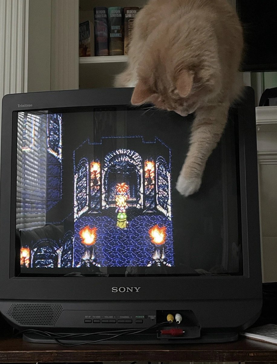 CRT Bot2 tweet media