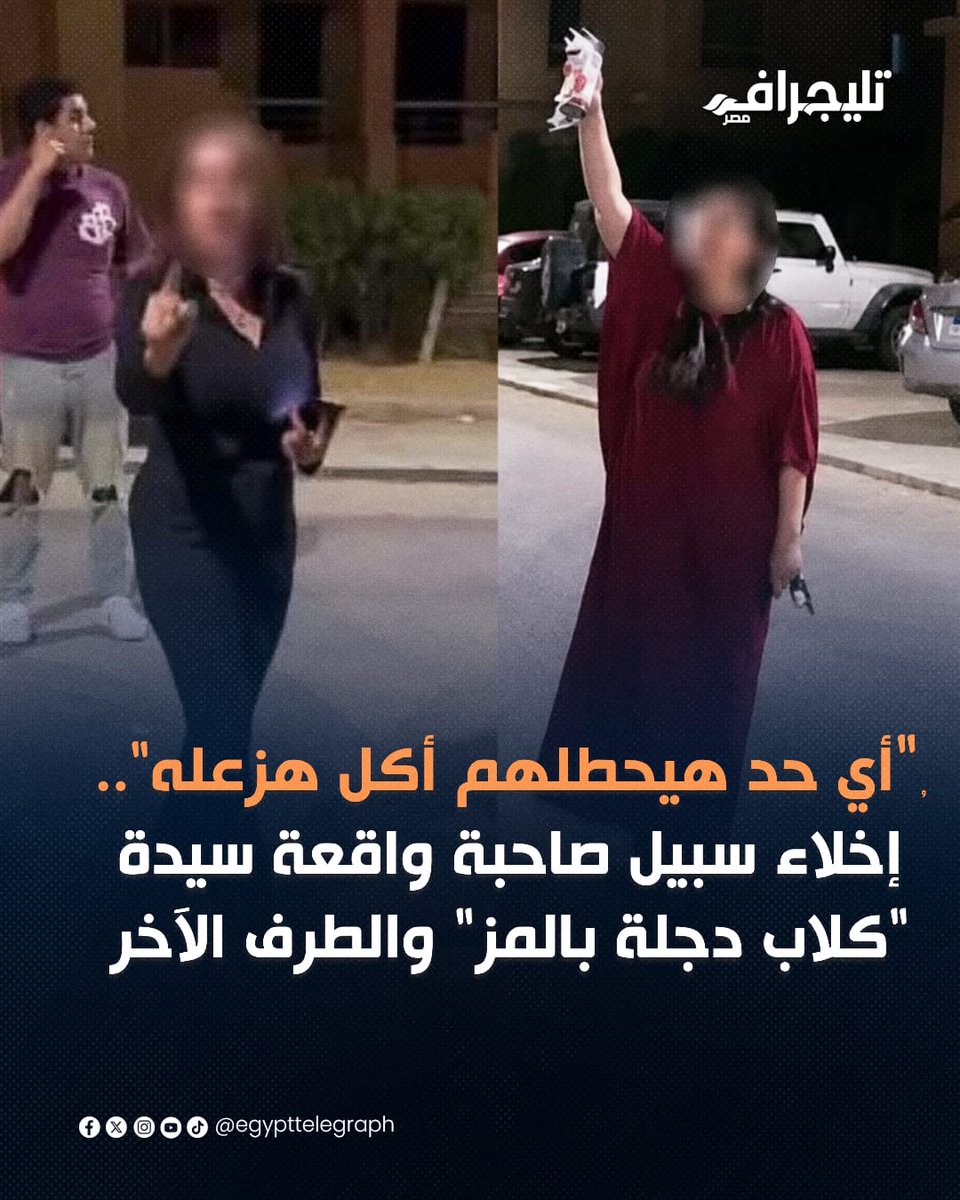 Egypt Telegraph - تليجراف مصر tweet media