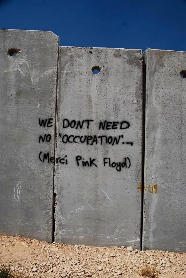Morningstar 🇵🇸 🔻 tweet media
