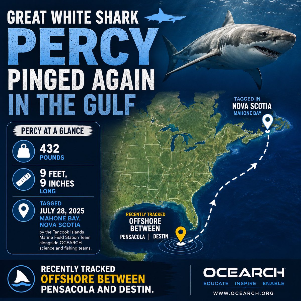 All Things Emerald Coast tweet media
