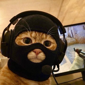 INOSUKE tweet media