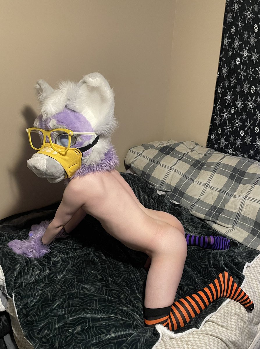 LavenderK9Aw00's tweet photo. There less stripes~ https://t.co/Jl1POTLc7J