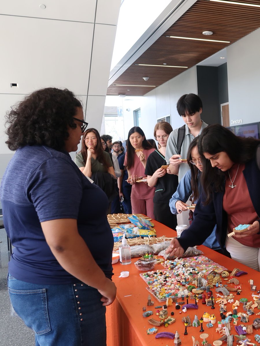 shsucom's tweet photo. As the semester winds down, we are thankful for moments that gave our student doctors time to recharge. 🧘☁️

From slime and zen gardens to free pizza, De-Stress Fest gave SDs a chance to relax and reset before finals season hit full force. https://t.co/wAL2gunXsD