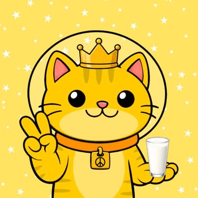 REALspacecats's tweet photo. @SolanaSprotos UMGD can’t afford to mint a @REALspacecats‼️ https://t.co/wknSP4pRR2
