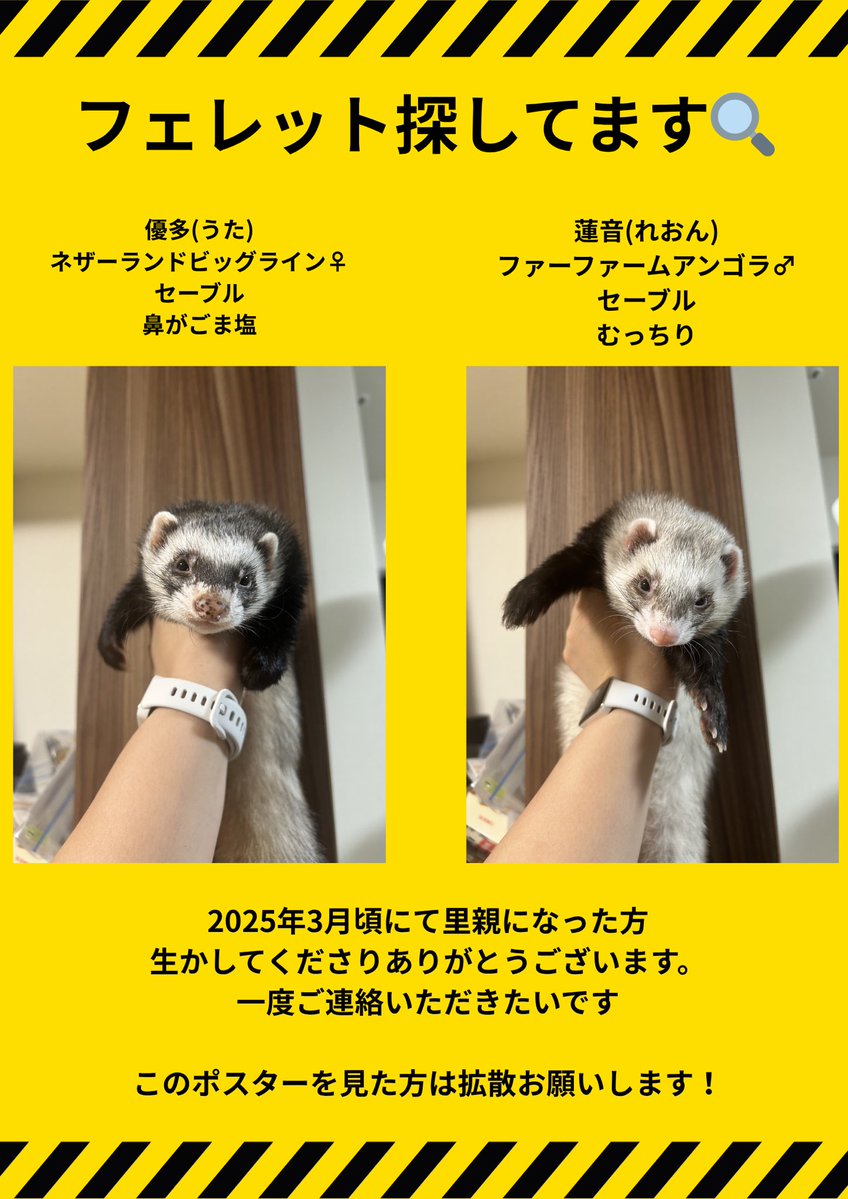 りお tweet media