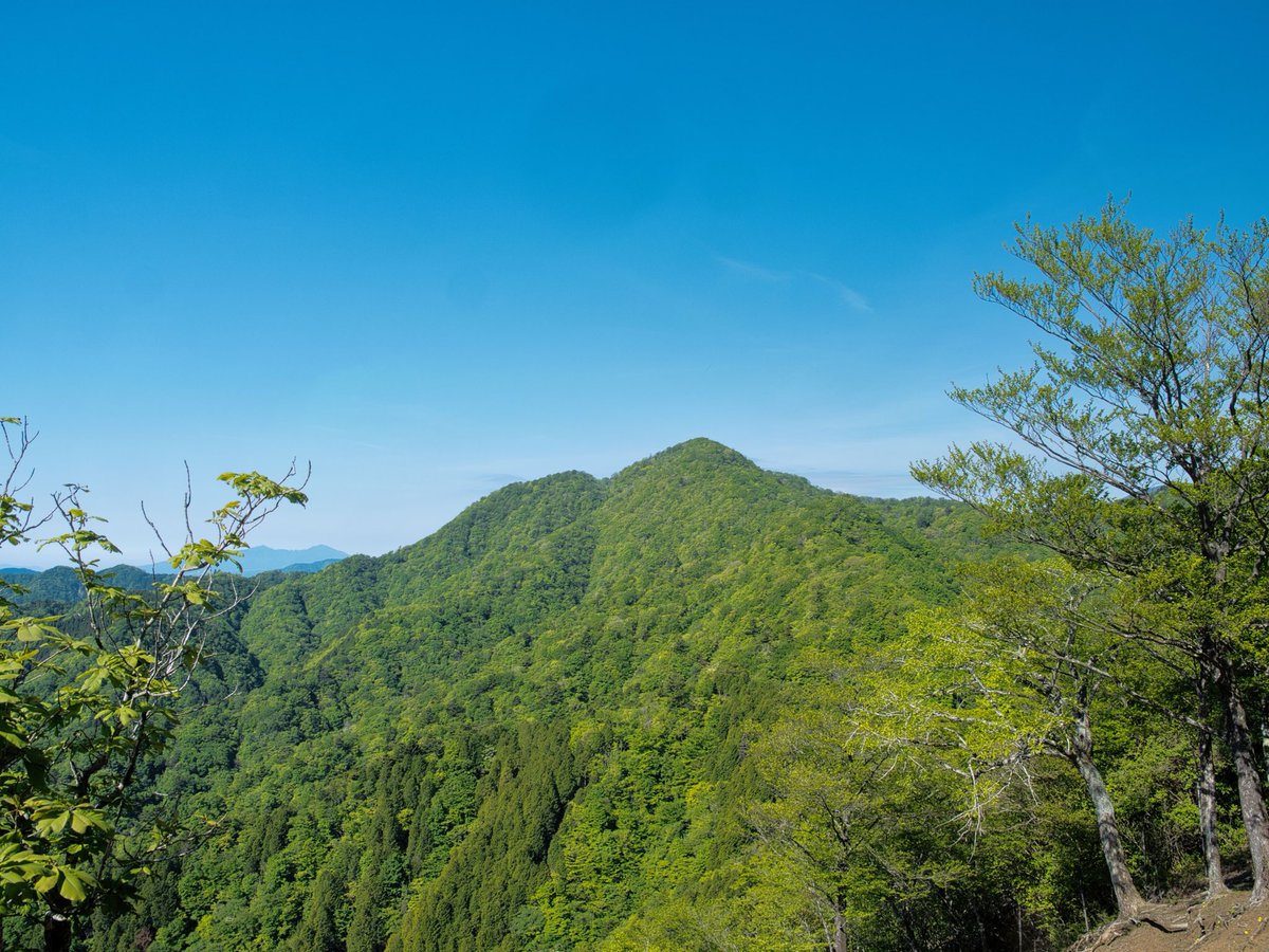 GoTToN67781334's tweet photo. 登山始めて初めてひと月以上登らなかった。
久しぶりの山はやっぱり丹沢👍畦ヶ丸。 https://t.co/j6RmRYrsyV