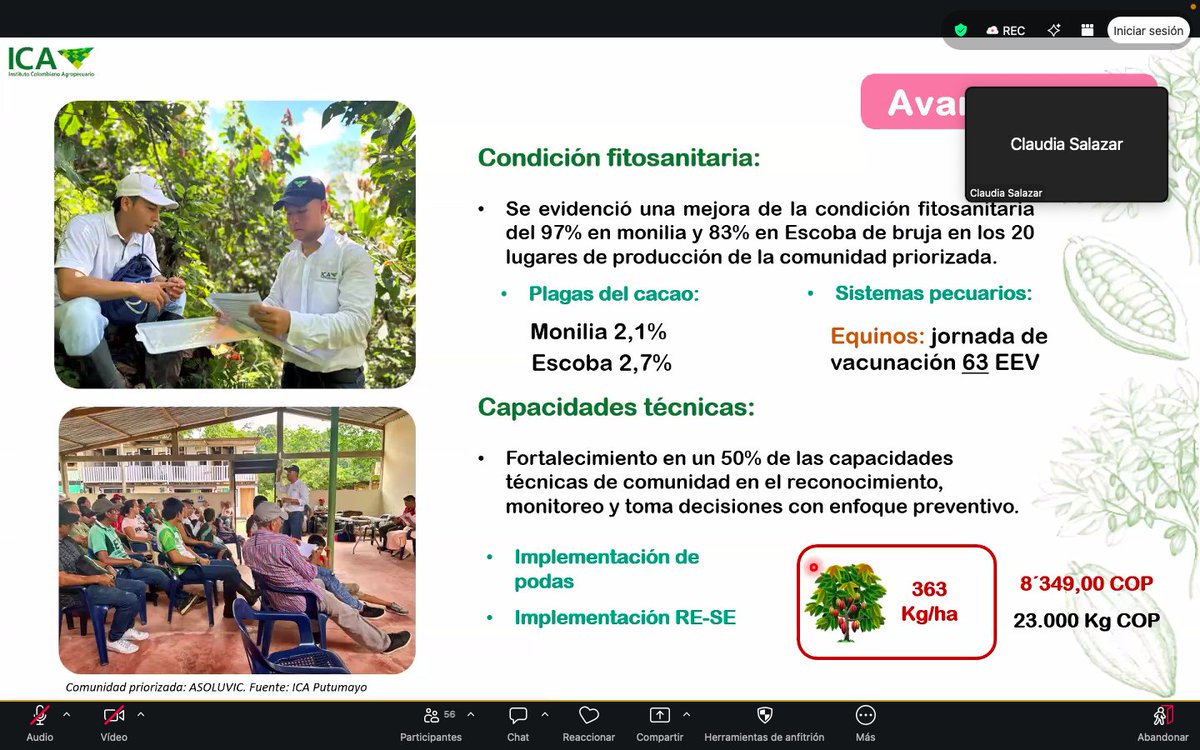 APCColombia's tweet photo. #LoClave 💡 | Este proceso liderado técnicamente por @SomosAGROSAVIA, @ICACOLOMBIA, @fedecacao y @MinAgricultura, contó con una participación femenina del 47% y permitió la transferencia de herramientas que mejoran la productividad y la resiliencia del sector agrícola haitiano. https://t.co/oLKT5Q0VI1