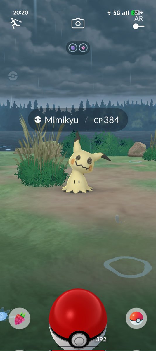 AHHHH ZORUA YOU BASTARD I WAS SO HAPPY I FOUND ANOTHER XXL MIMIKYU