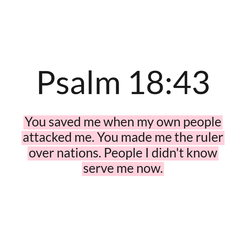 Jesus Insight tweet media