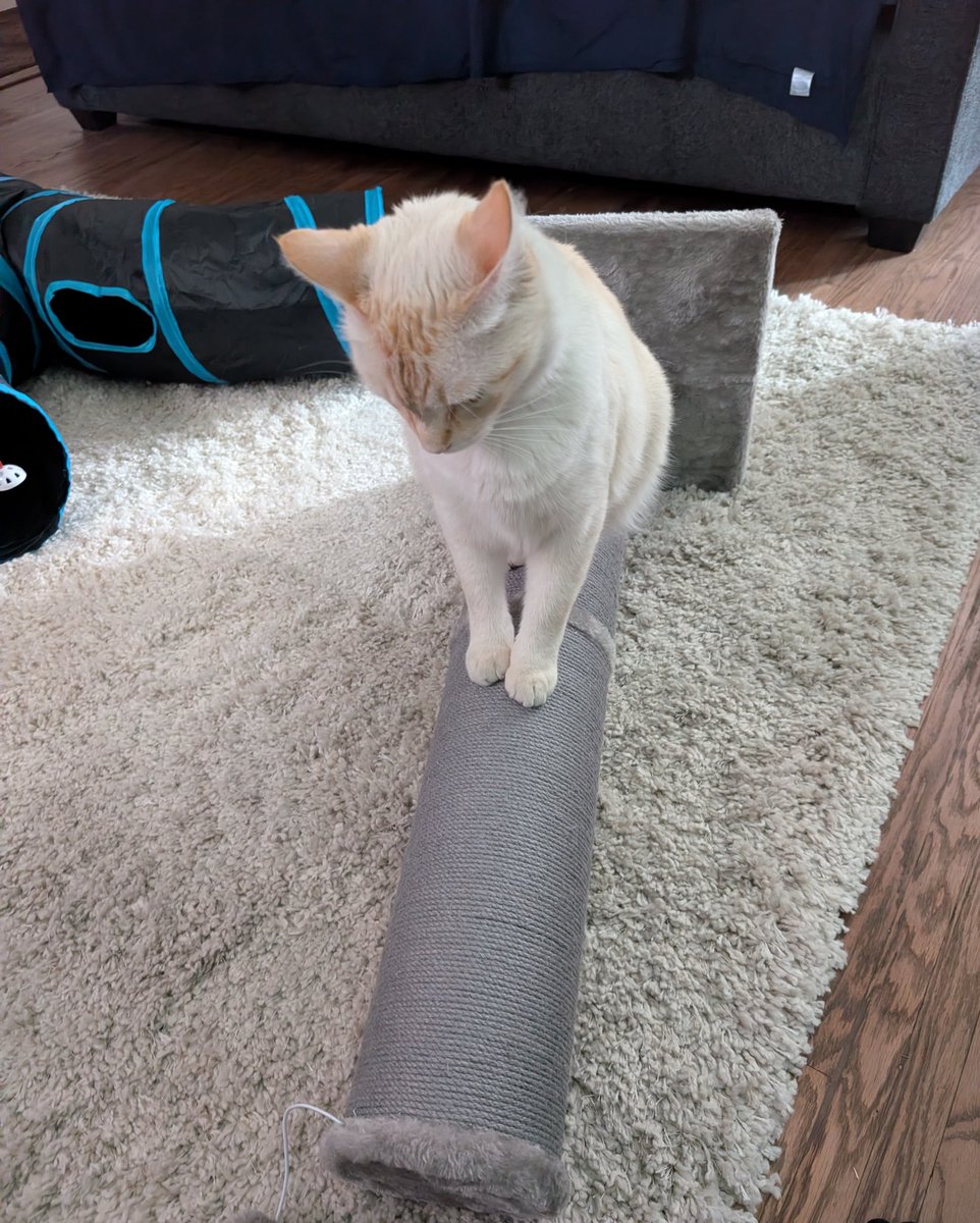 🌸minnie tweet media