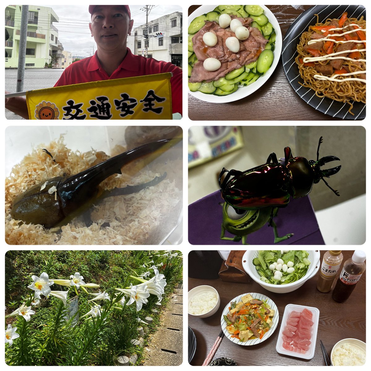 koki_136's tweet photo. 【#コウキイサム パワーアップ！？】
#うるま市石川地域資源保全の会 #カフェアジュテ #パン食べ放題 #交通安全指導 #こども園学研 #ヘラクレスオオカブト #意見交換

詳しくは、ブログの「市民の笑顔をモットーにコウキイサムの発光時間」↓
https://t.co/gf1dDdvKxt

#沖縄 #うるま市 #うるま市議 https://t.co/kAwmCcr9fe