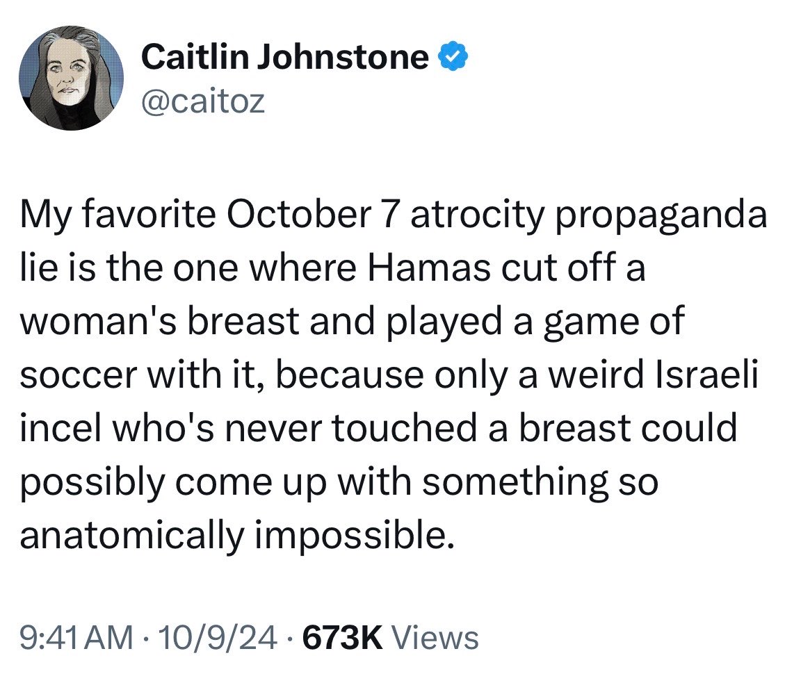 Caitlin Johnstone tweet media