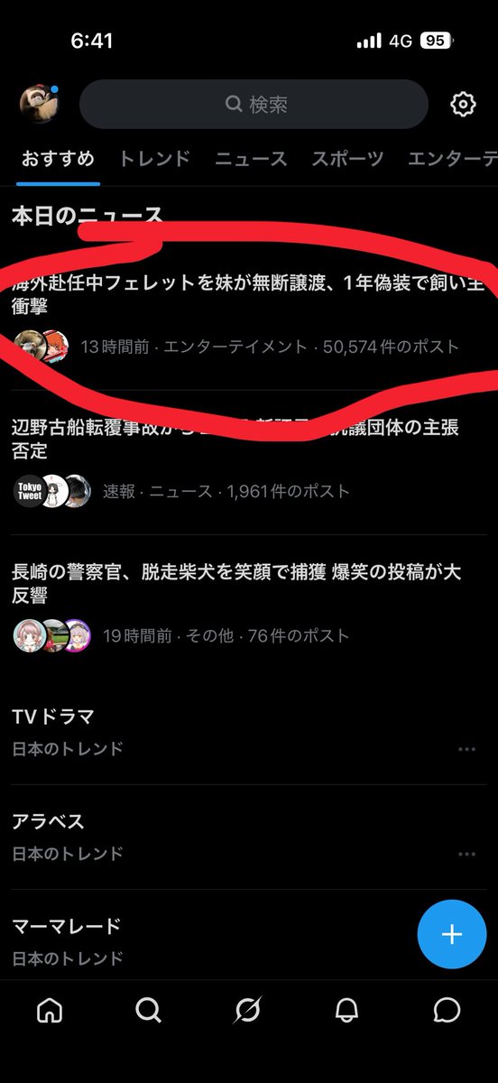 我が家のフェレットこはく tweet media