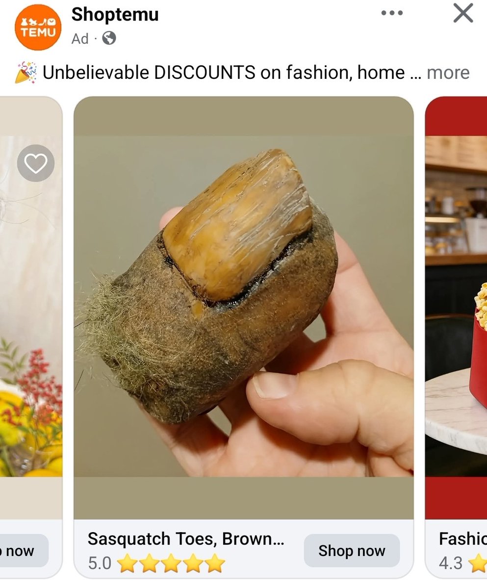 yellowsclub's tweet photo. Anyone in the market for a Sasquatch toe? Temu gotchu!🤣🤣 https://t.co/zhPETxc95R