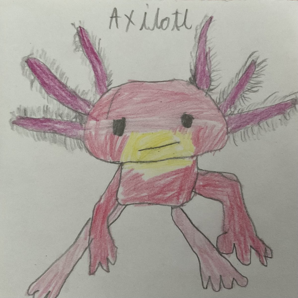 LAParnwell's tweet photo. 🎉 Celebrating 100 years of Sir David Attenborough! 🌍
Our children created drawings of their favourite animals, bringing them together to form a giant “100” 🐾💚 A wonderful tribute to a true inspiration to love and protect our planet.
#Attenborough100 #SirDavidAttenborough https://t.co/WfM050rLN1