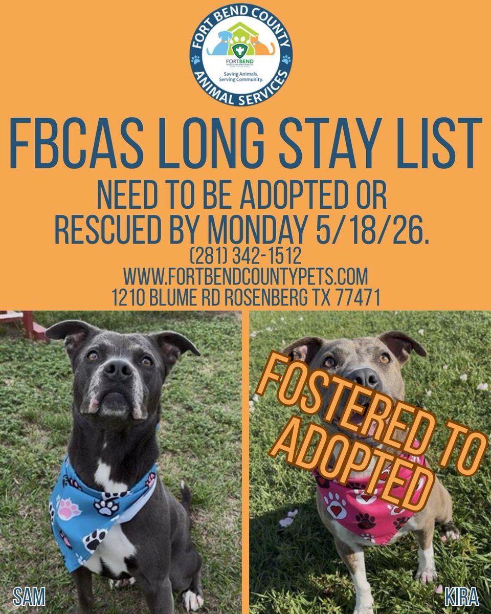 Fort Bend Animal Services tweet media