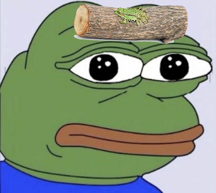 Rapist loose in the children's eternal rainforest tweet media