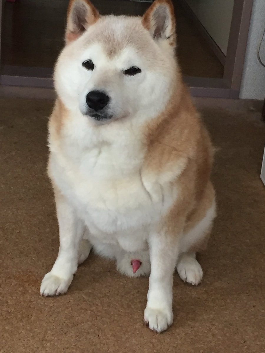 SHIINA (@8bdbdbd8) / Posts / X