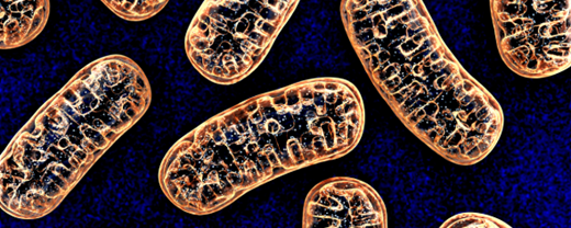 Cancer Discovery tweet media