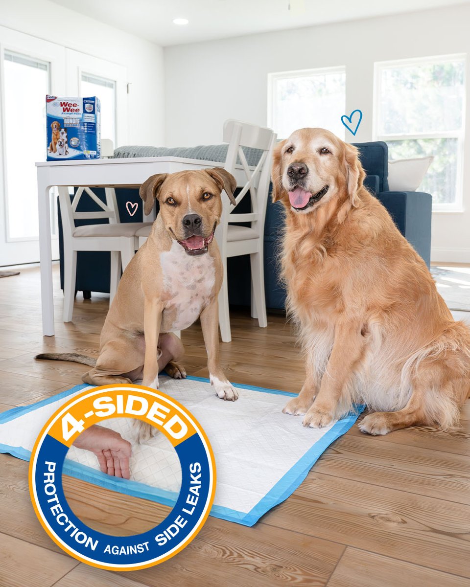 FourPawsBrand's tweet photo. Here's to enjoying more time with your besties (and less time worrying about messes!). Designed with Runoff Edge Guard, these Wee-Wee Pads trap excess liquid on all 4 sides to keep your floor dry. Add them to your next @Amazon or @Chewy order.

#FourPawsProducts #amazon #chewy https://t.co/dCJDVSQFf1