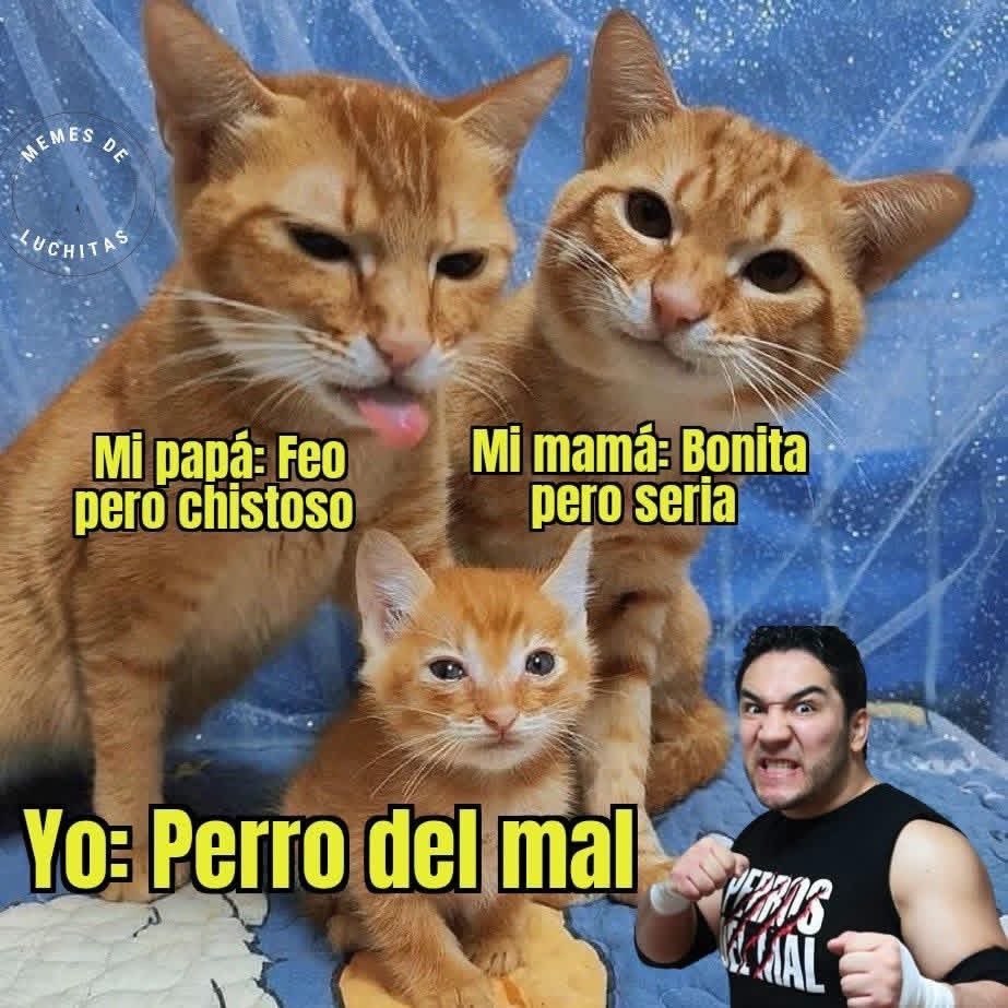 Moises tweet media