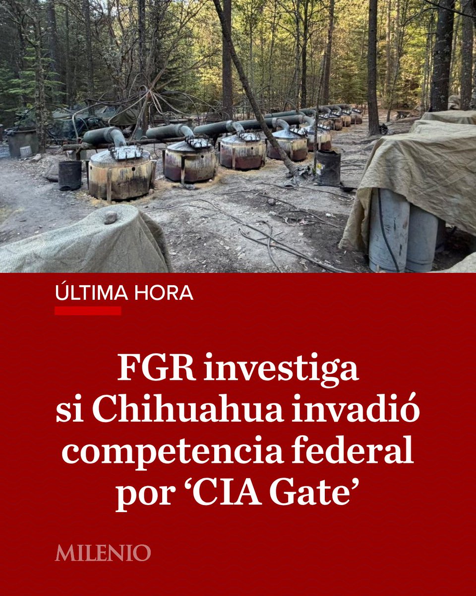Milenio tweet media