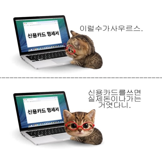 드립짤모음 tweet media
