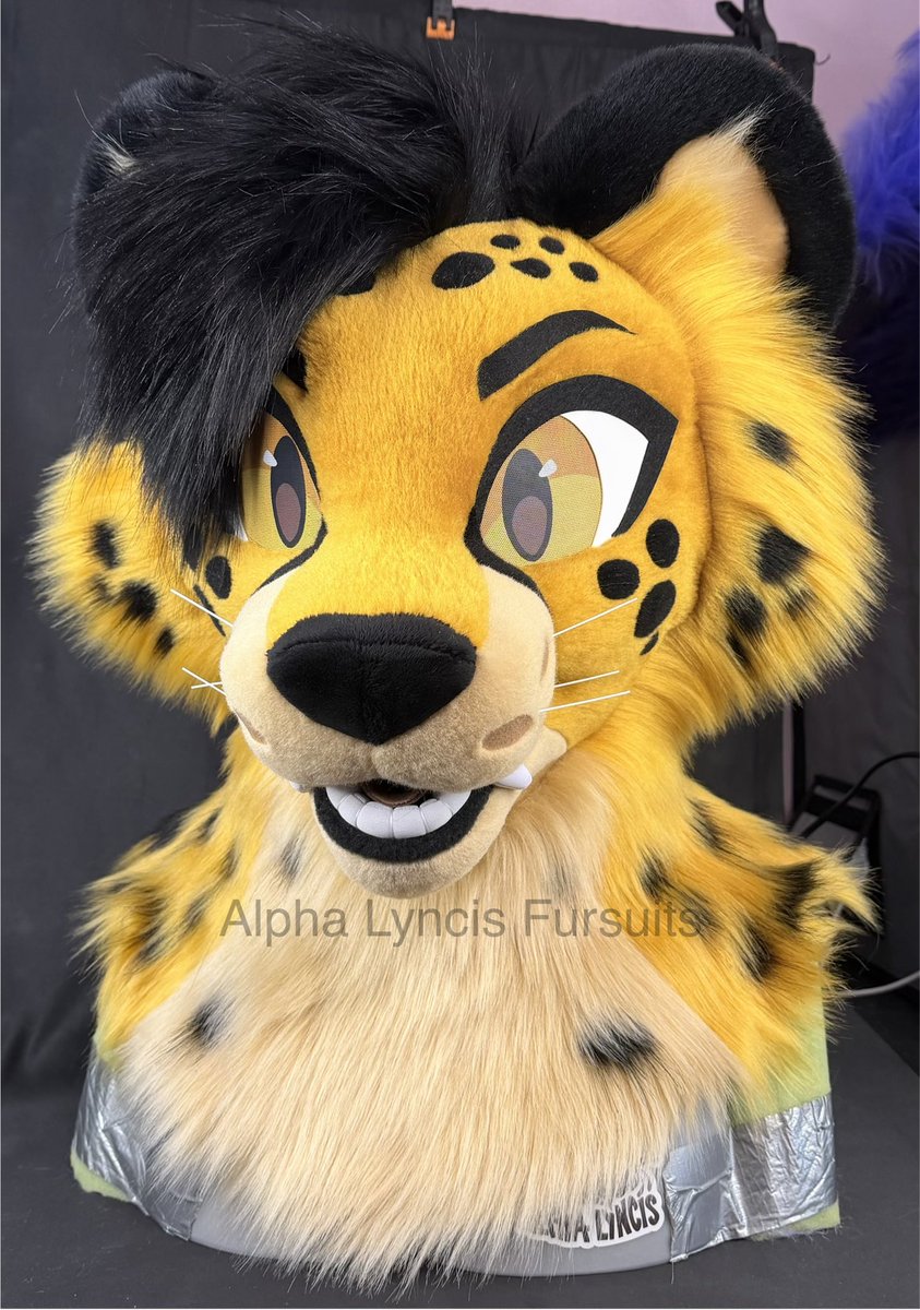 🌜Alpha Lyncis Fursuits🌛 tweet media