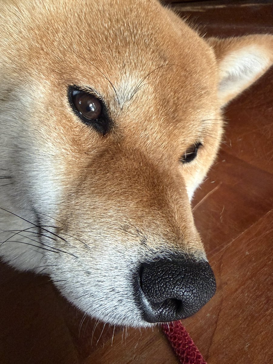 農民トレーダー　よこ tweet media