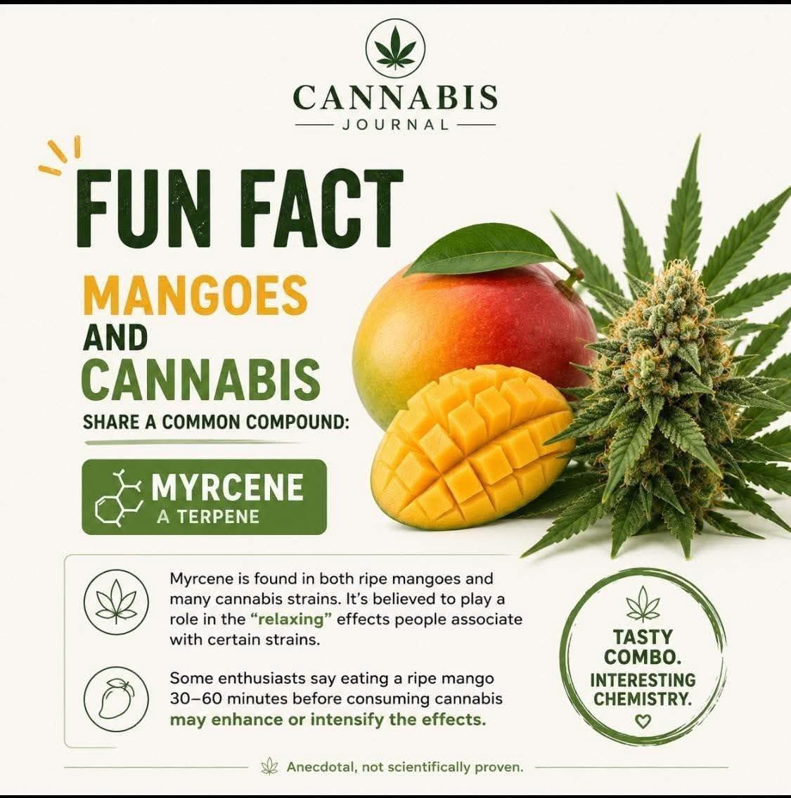 weedcoinOG's tweet photo. https://t.co/ek6E2176Z6